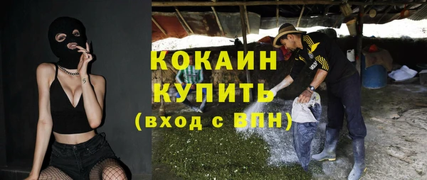дживик Баксан