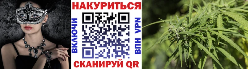 Купить закладки  Гурьевск  Шишки марихуана гибрид 